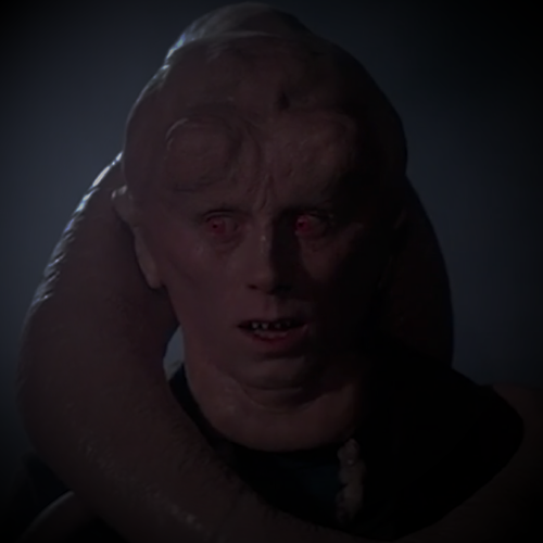 bib3 04.png