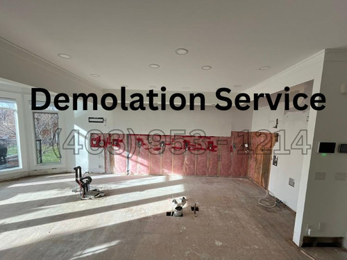 demolation 1.jpg