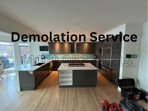 demolation 2.jpg