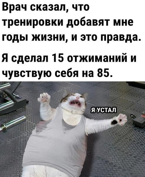 KWIZBI8 fRbF9Xy4a0MD6PPfmSqMikepX7eaxW2VSkPJEFD8z5bXJVhq8xF30tRU 0QqdcJ5Oif e87TwSd7mYww60J915sPzDLY.jpg