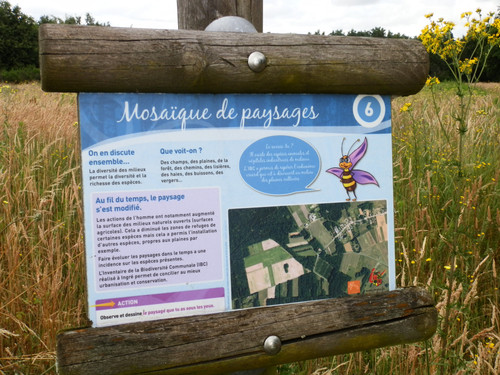 Ormes Domaine de la Canaudière 13