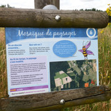 Ormes Domaine de la Canaudière 13