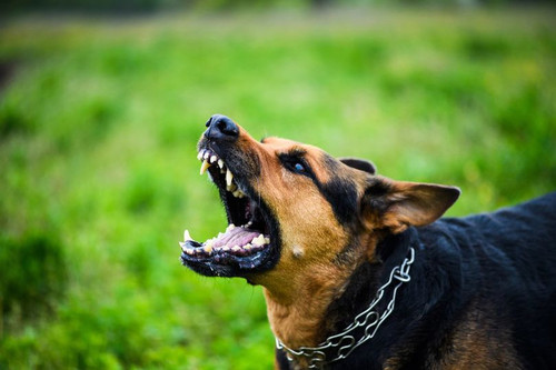 450675711 883518593816975 1523167739690964245 n.jpg?stp=dst jpg p180x540& nc cat=107&ccb=1 7& nc sid.jpg