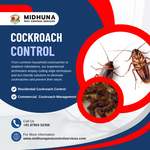Battling Cockroaches Midhuna Pest Control in Hyderabad Has You Covered!.png