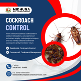 Battling Cockroaches Midhuna Pest Control in Hyderabad Has You Covered!