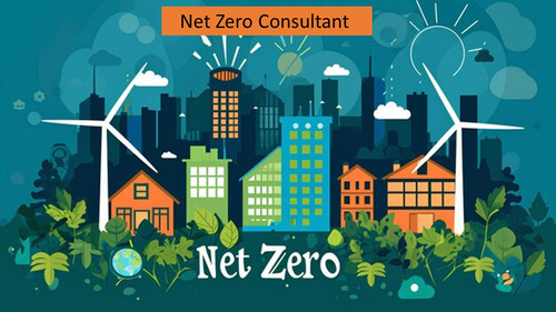 12.7.24nzconsultant.jpg