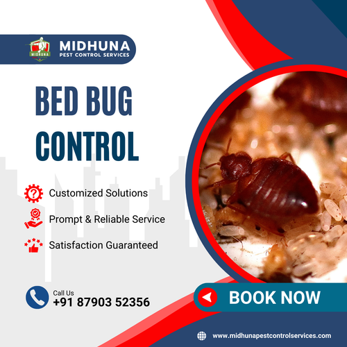 Dealing with Bed Bugs Midhuna Pest Control in Hyderabad Offers Safe Solutions!