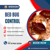 Dealing with Bed Bugs Midhuna Pest Control in Hyderabad Offers Safe Solutions!