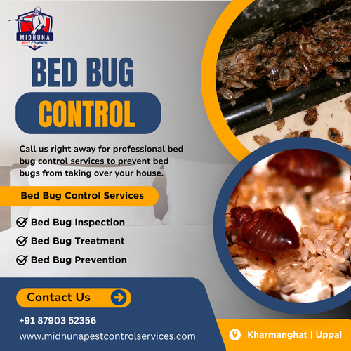 Bed Bugs Invading Trust Midhuna Pest Control for Safe, Effective Solutions!.png