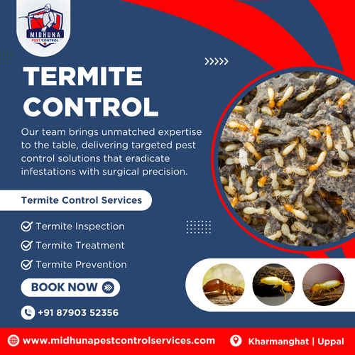 Save Your Property! Eco Friendly Termite Control by Midhuna Pest Services.png