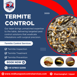 Save Your Property! Eco Friendly Termite Control by Midhuna Pest Services