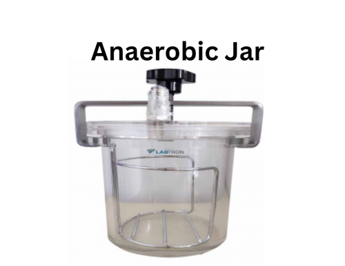 Anaerobic Jar.png