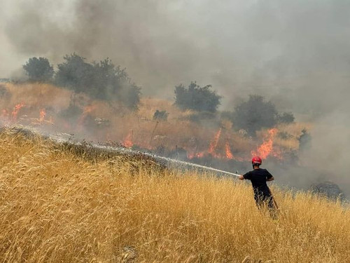 450650504 953446530127169 4569565879325241854 n.jpg?stp=dst jpg s600x600& nc cat=110&ccb=1 7& nc sid.jpg