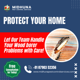 Woodborer Woes Midhuna Pest Control Offers Safe, Effective Solutions!