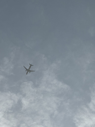1D22FFA9 F398 404C 87CA FD4B4515D0B6.jpg