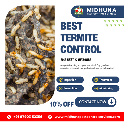 Need Termite Control Trust Midhuna Pest Control in Hyderabad for Safe, Effective Solutions!
