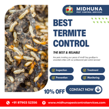 Need Termite Control Trust Midhuna Pest Control in Hyderabad for Safe, Effective Solutions!