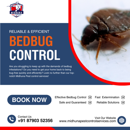 Troubled by Bed Bugs Choose Midhuna Pest Control in Hyderabad for Safe, Effective Eradication!