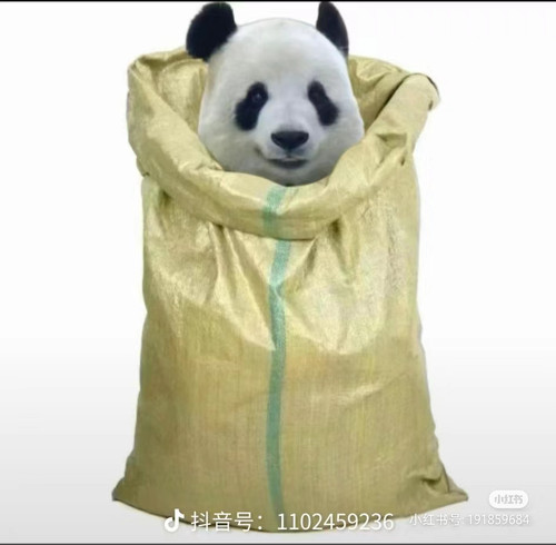 Camera XHS 1720769354793.jpg