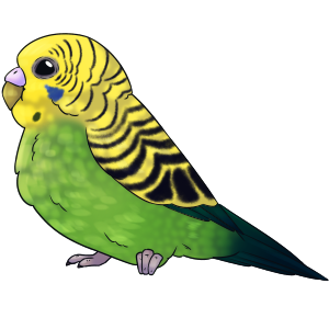 Budgie Beetle F.png
