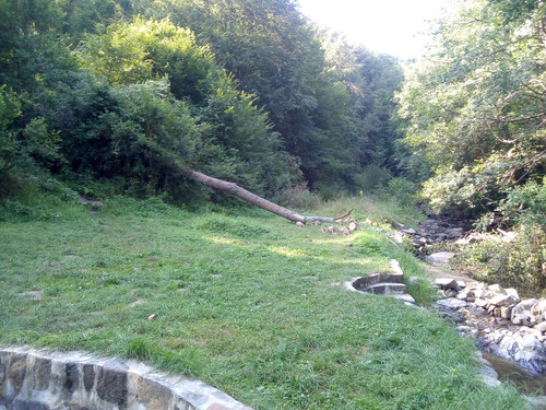 IMG 20200805 094327.jpg