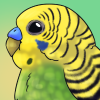 Budgie Beetle Item.png