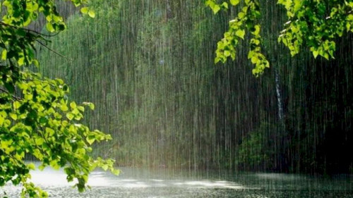 450918881 796439336007617 1201716538550334077 n.jpg? nc cat=100&ccb=1 7& nc sid=127cfc& nc ohc=VKlI7.jpg