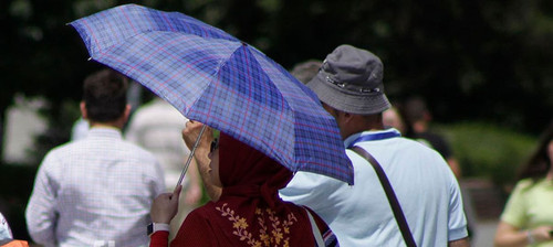 451021071 785723433752896 6115576851788394669 n.jpg?stp=dst jpg p180x540& nc cat=103&ccb=1 7& nc sid.jpg