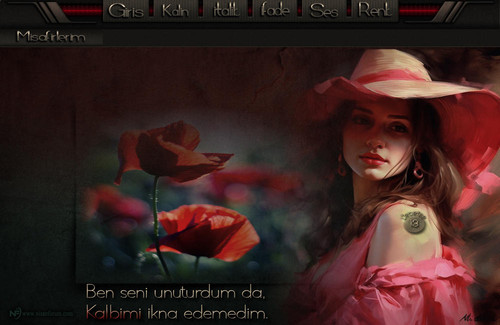 Bayan Radyo Tema 37 liebefee13.jpg