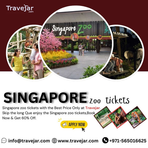 Exploring Singapore Zoo Tickets: Your Ultimate.jpg