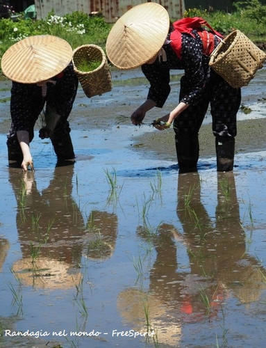 OLYMPUS DIGITAL CAMERA.jpg