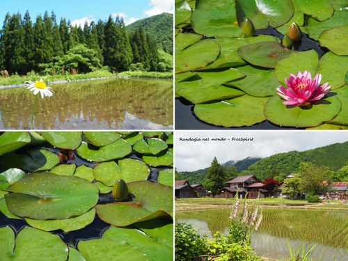 shirakawago18.jpg