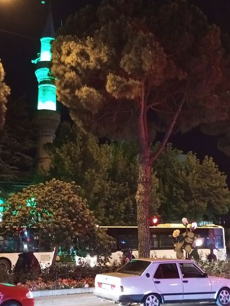 450603653 765633152448278 7779777326782890739 n.jpg?stp=dst jpg s600x600& nc cat=108&ccb=1 7& nc sid.jpg