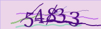 captcha.png
