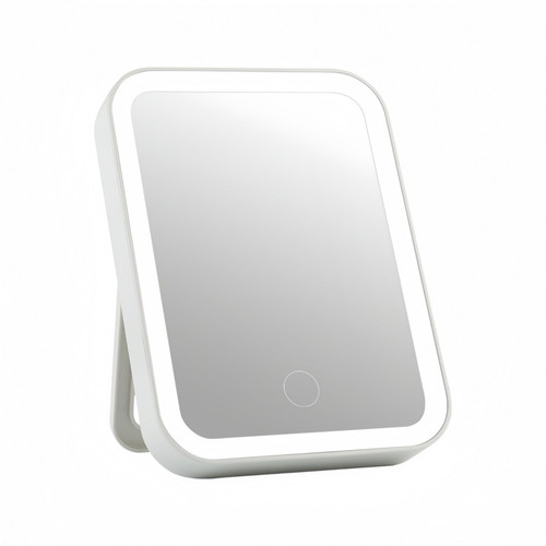 Mirror FXB1 1.jpg