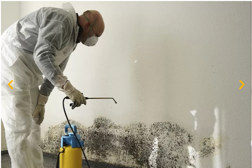 Water damage remediation Beaverlodge.png