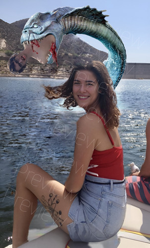 110766B1 1E92 4573 AE16 0983A666EBBE