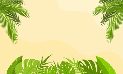 tropical leaves background design summer leaves flat illustration simple banner with copy space free.jpg
