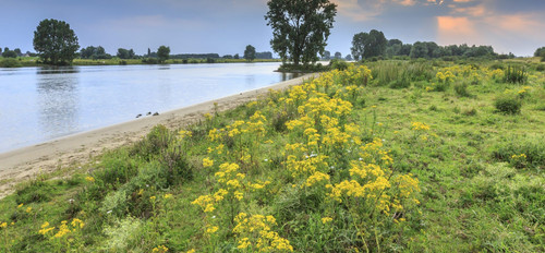 Yacht Charter and Boat Rental Netherlands.jpg