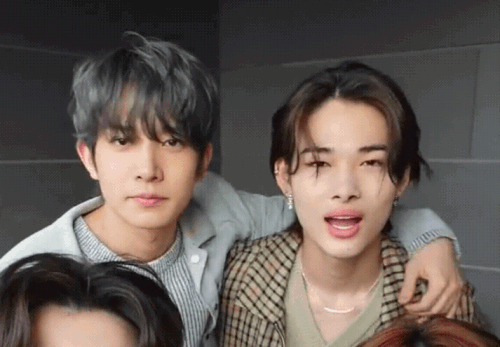 IMG 9574.gif