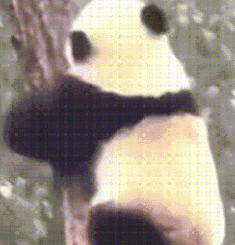 gt 2024711 34231 g compress.gif