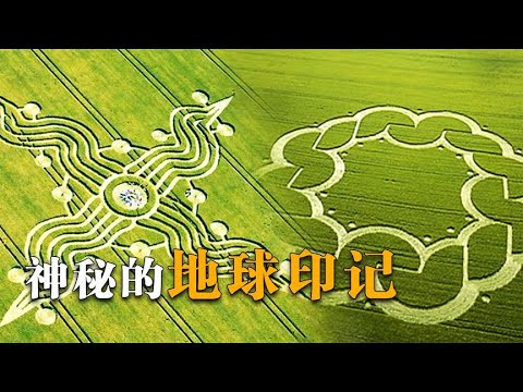 296d0eae 7de3 41da 93fd 44212e5a8134.jpg