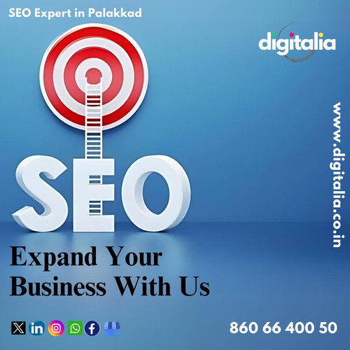 SEO Expert in Palakkad (July 11).jpg