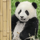 gt 2024711 6716 g crop.gif