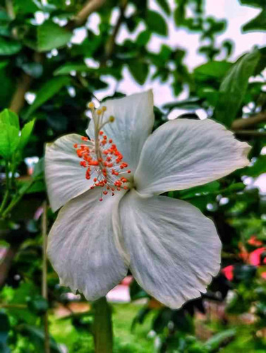 JPEG 20240711 120542 5038409341721267557.jpg