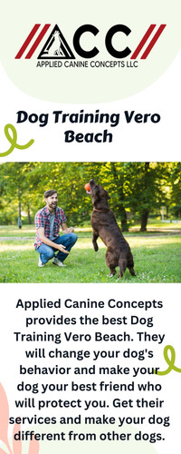 Dog Training Vero Beach.jpg