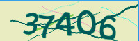 captcha.png