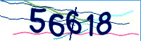 captcha.png