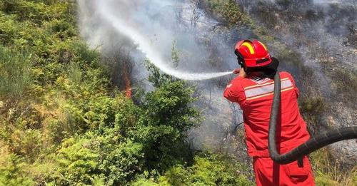 13240167369649141356?url=https%3A%2F%2Ffieriweb.com%2Fwp content%2Fuploads%2F2024%2F07%2FIMG 5815.jp.jpg