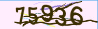 captcha.png